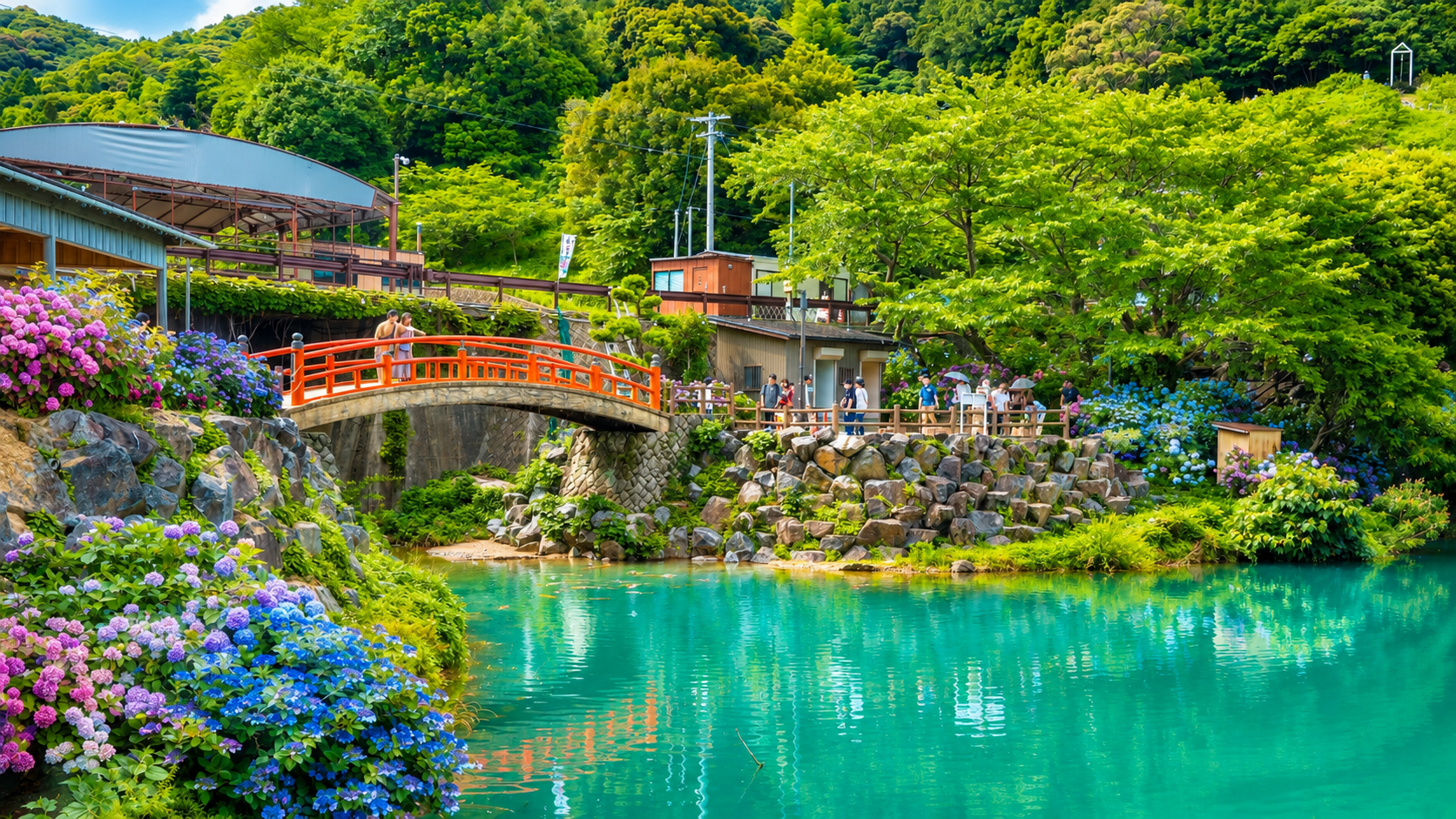 紫陽花に囲まれた池と朱色の橋