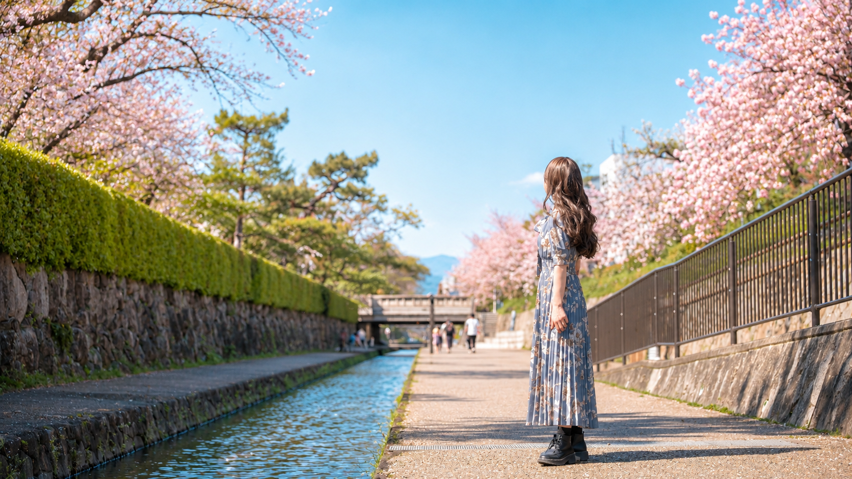 桜並木の水辺に立つワンピース姿の女性